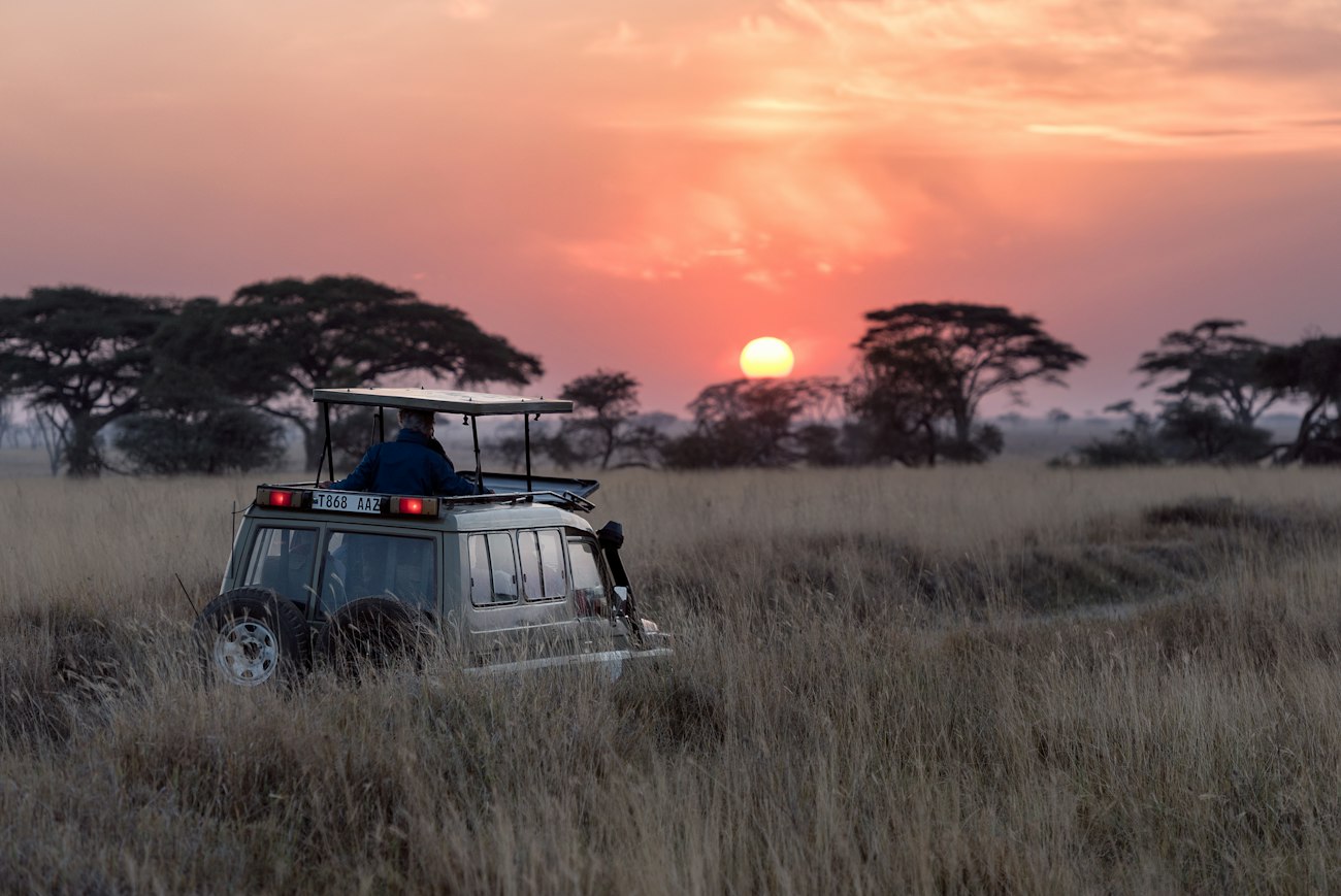 A safari vehicle out on a game drive at sunset